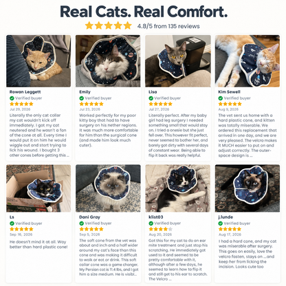 Soft Cat Recovery Orbela Collar