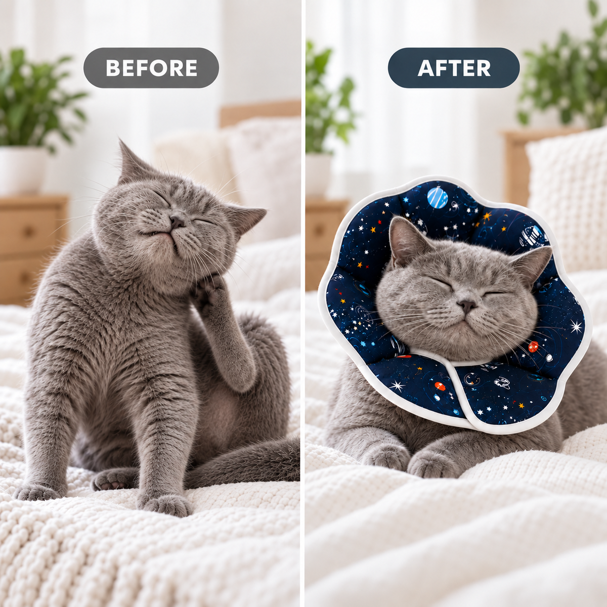 Soft Cat Recovery Orbela Collar