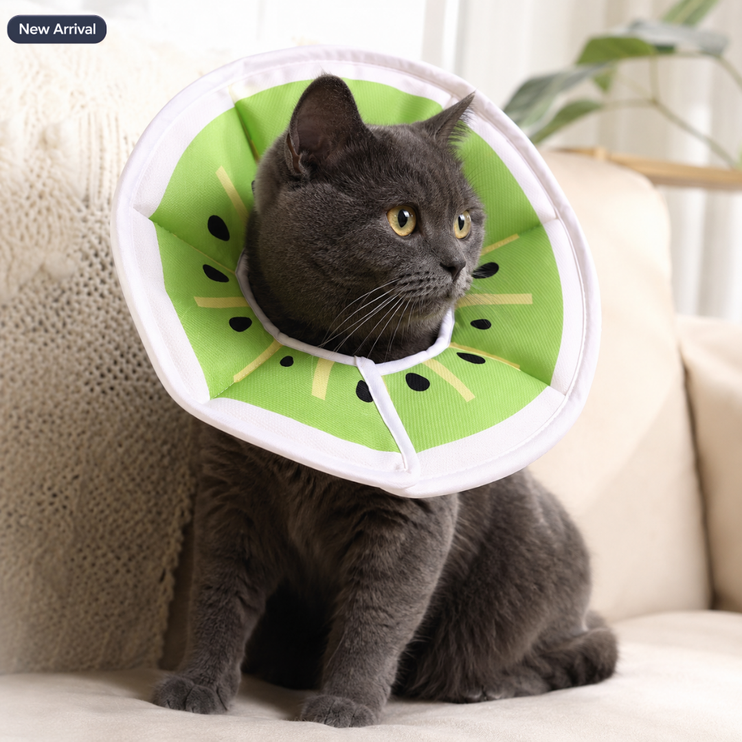 Soft Cat Recovery Orbela Collar
