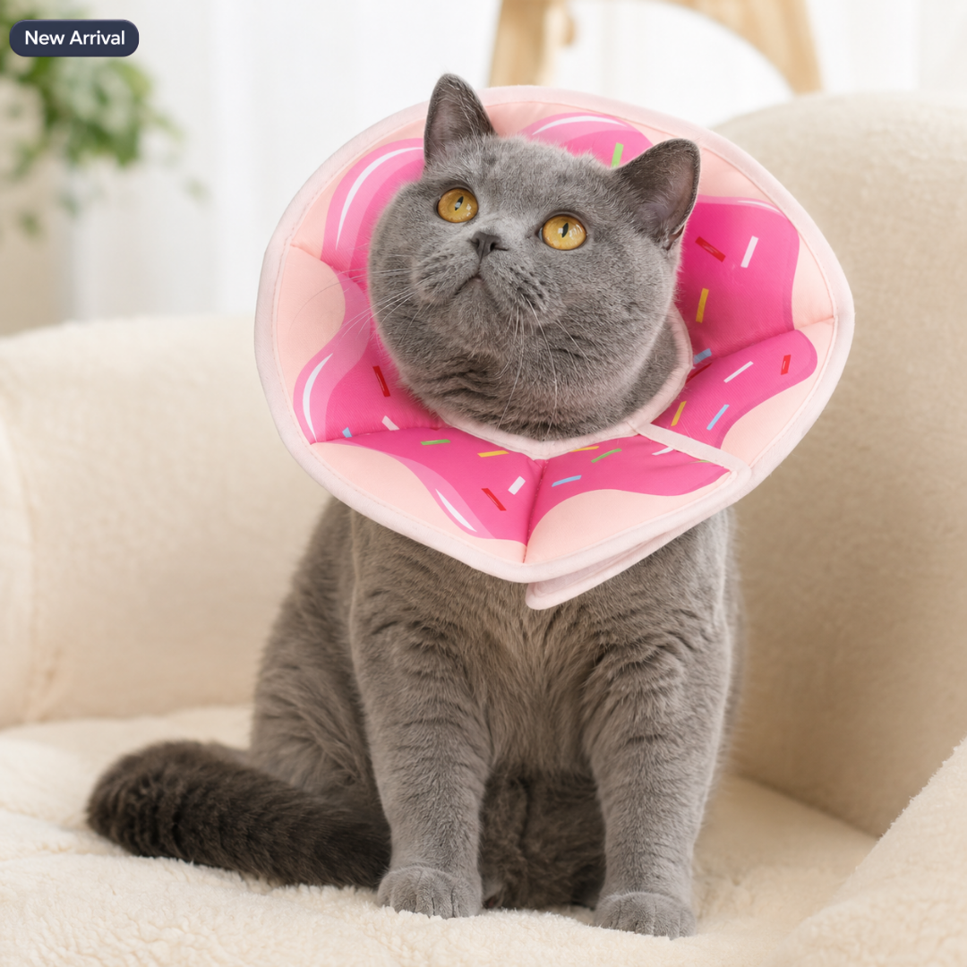 Soft Cat Recovery Orbela Collar