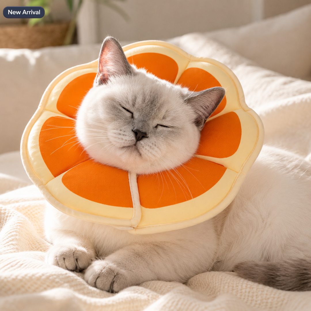 Soft Cat Recovery Orbela Collar