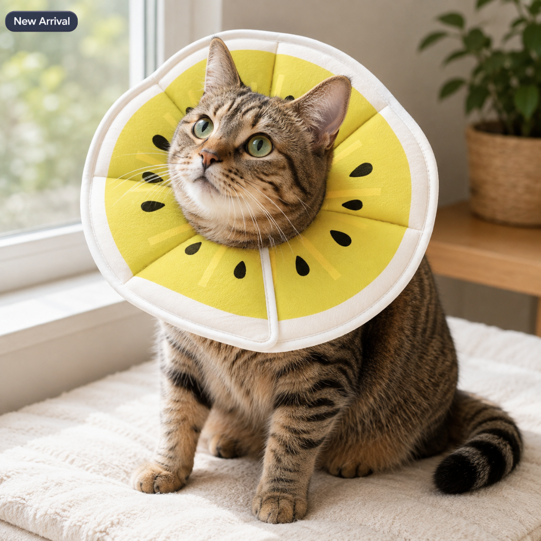 Soft Cat Recovery Orbela Collar