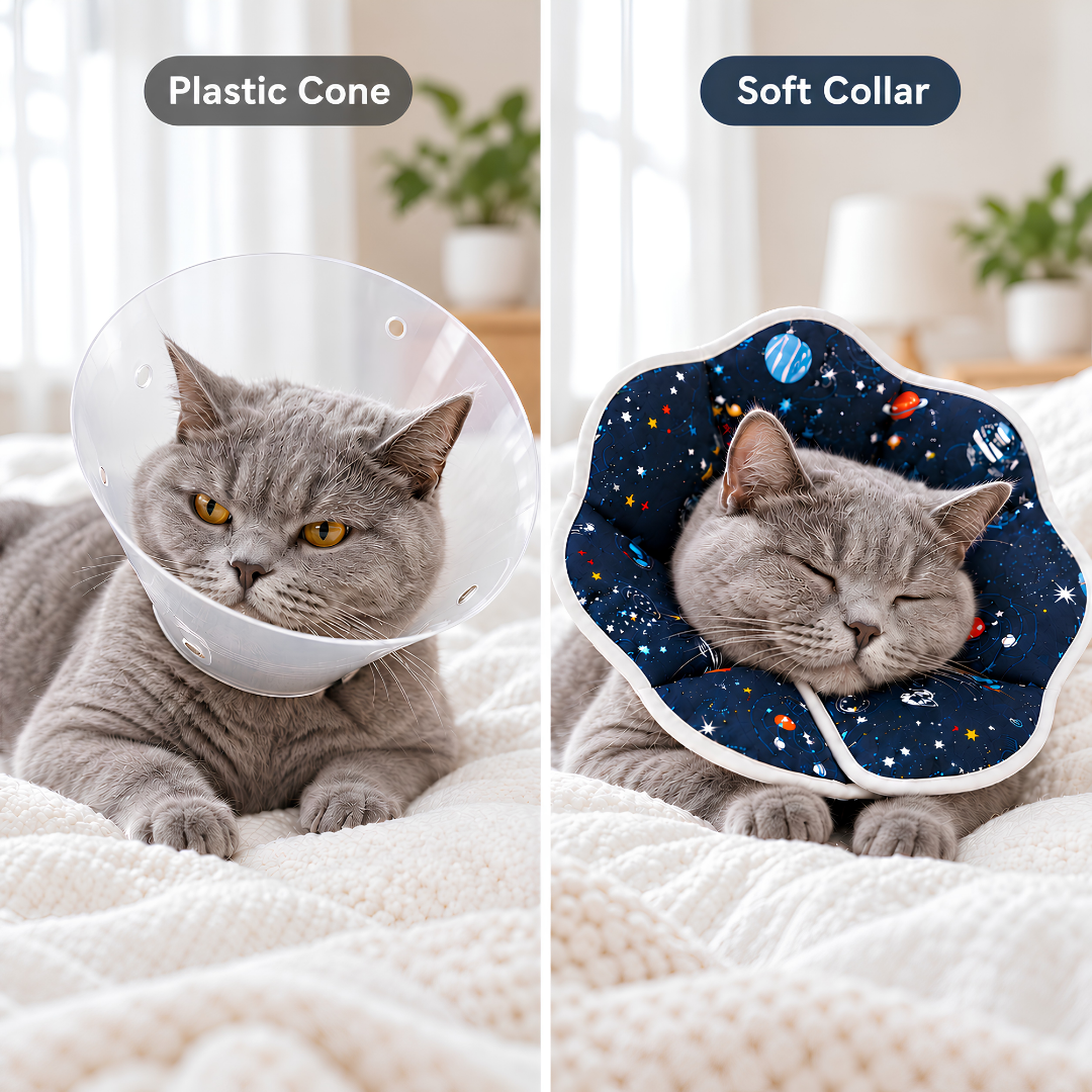 Soft Cat Recovery Orbela Collar